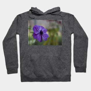 Anemone Hoodie